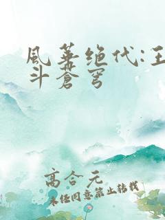 风华绝代:王妃斗苍穹