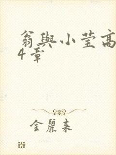 翁与小莹高潮24章