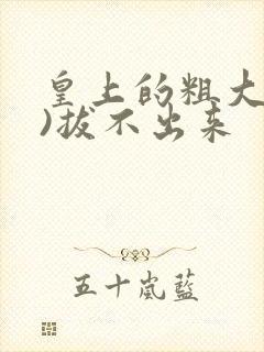 皇上的粗大(h)拔不出来