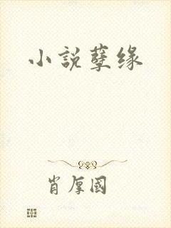 小说孽缘