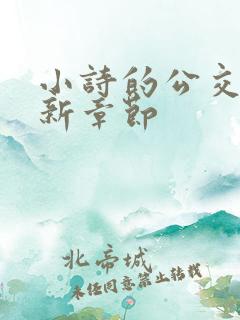 小诗的公交车最新章节