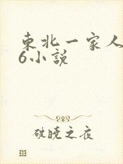 东北一家人1一6小说
