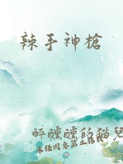 辣手神枪