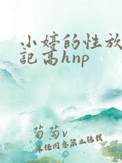 小婷的性放荡日记高hnp