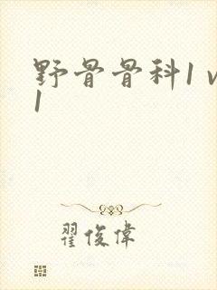 野骨骨科1 v1