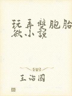 玩弄双胞胎的肉欲小说