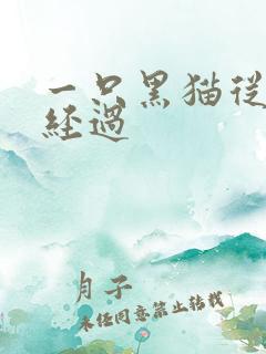 一只黑猫从眼前经过