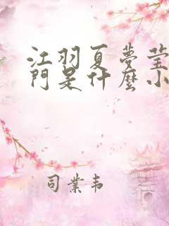 江羽夏梦莹神谕门是什么小说