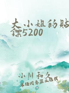 大小姐的贴身保镖5200