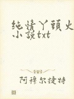 纯情丫头火辣辣小说txt
