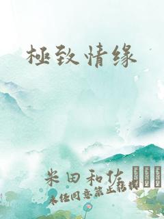 极致情缘