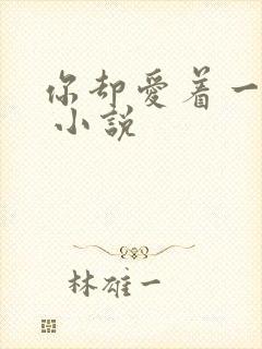 你却爱着一个他 小说