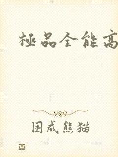 极品全能高手