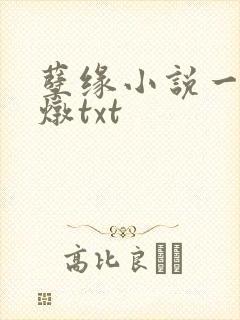 孽缘小说一家乱炖txt