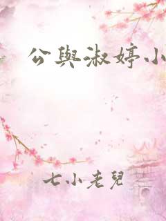 公与淑婷小说