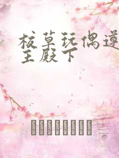 校草玩偶遵命公主殿下