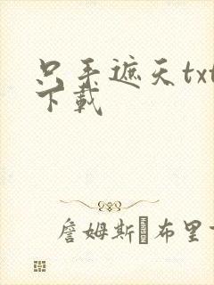 只手遮天txt下载