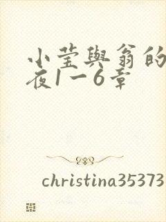小莹与翁的销魂夜1一6章