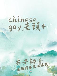 chinesegay老头4