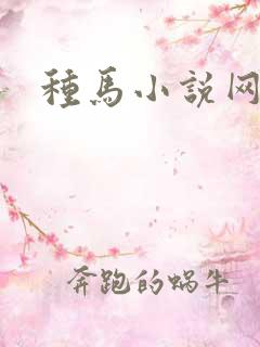 种马小说网