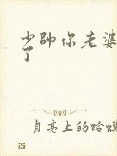 少帅你老婆又跑了