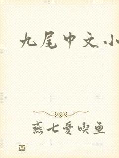 九尾中文小说网