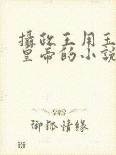 摄政王用玉髓整皇帝的小说