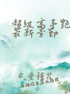 超级高手艳遇记最新章节