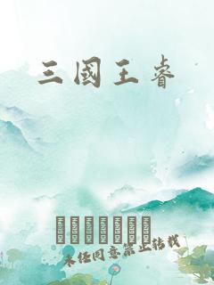 三国王睿