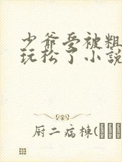 少爷受被粗汉H玩松了小说