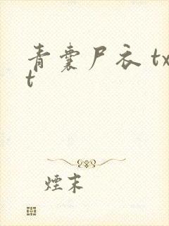 青囊尸衣 txt