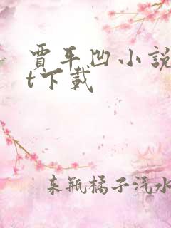 贾平凹小说txt下载