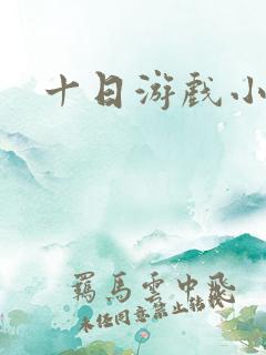 十日游戏小说