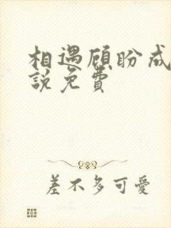 相遇顾盼成欢小说免费