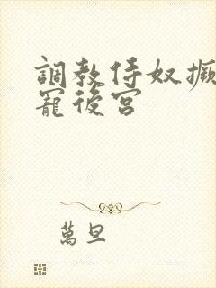 调教侍奴撅臀男宠后宫