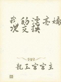 我的漂亮娇妻初次交换