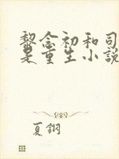 黎念初和司慕城是重生小说