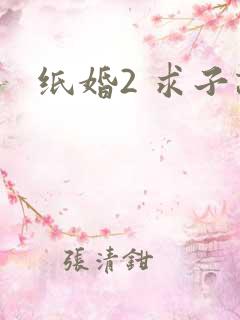 纸婚2 求子记