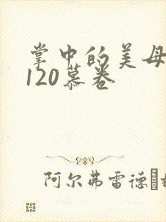 掌中的美母版主120慕卷