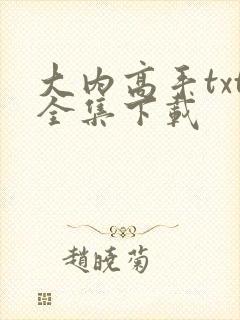 大内高手txt全集下载