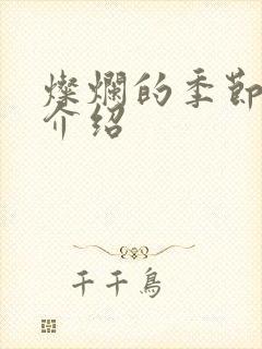 灿烂的季节剧情介绍