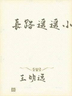 长路遥遥小说