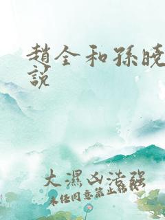 赵全和孙晓云小说