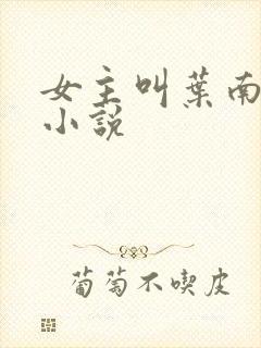 女主叫叶南初的小说