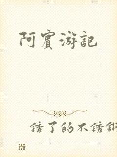 阿宾游记