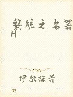 系统之名器勾男H