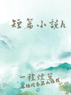 短篇小说h