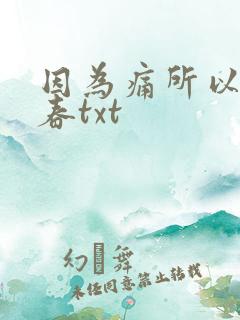 因为痛所以叫青春txt