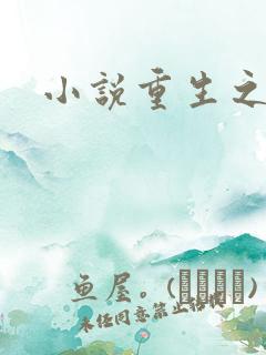 小说重生之官道