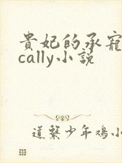 贵妃的承宠日常cally小说